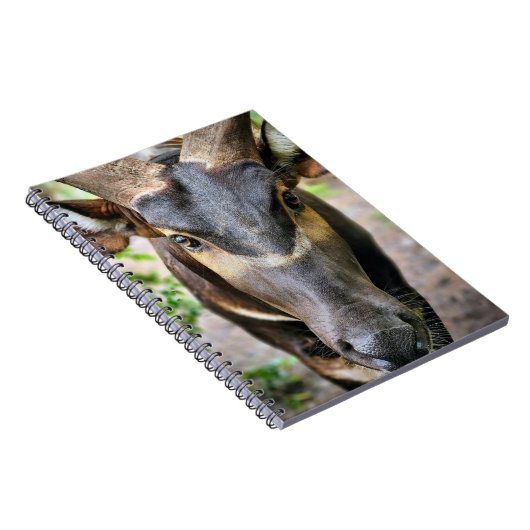 Berg Bongo Antelope Notitieboek (Rechterzijde)