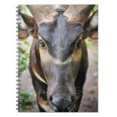 Berg Bongo Antelope Notitieboek (Voorkant)