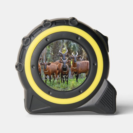 Berg Bongo Antelope Rolmaat (Voorkant)