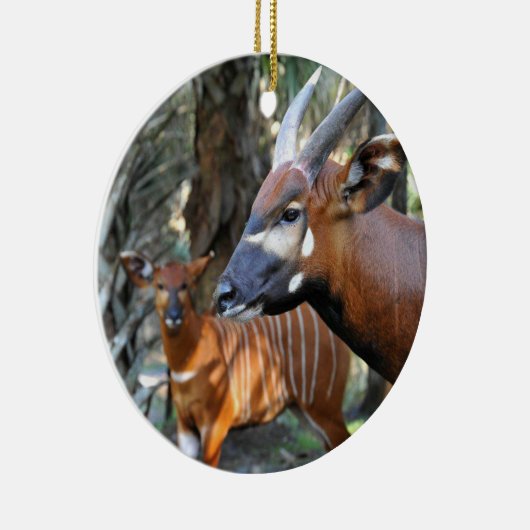 Berg Bongo en Kalf Keramisch Ornament (Rechts)