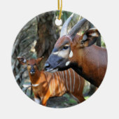 Berg Bongo en Kalf Keramisch Ornament (Voorkant)