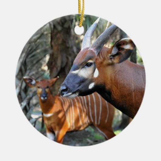 Berg Bongo en Kalf Keramisch Ornament (Voorkant)