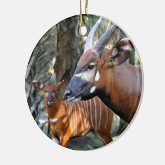 Berg Bongo en Kalf Keramisch Ornament (Links)
