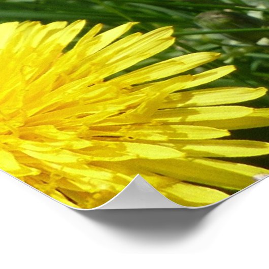 Berg Dandelions Poster (Hoek)