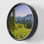 Berg- en boslandschap Washington State (Hoek)