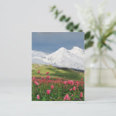 Berg en weide briefkaart (Staand voorkant)