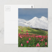 Berg en weide briefkaart (Voorkant / Achterkant)