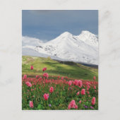 Berg en weide briefkaart (Voorkant)