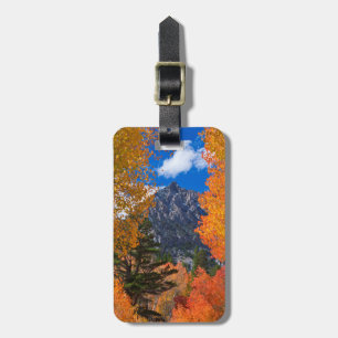 Berg geframed in herfstloof, CA Bagagelabel