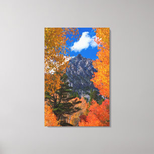 Berg geframed in herfstloof, CA Canvas Afdruk