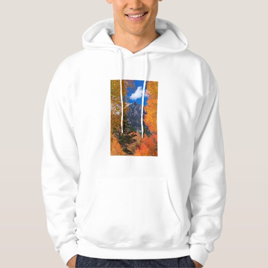 Berg geframed in herfstloof, CA Hoodie (Voorkant)