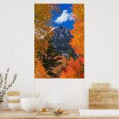 Berg geframed in herfstloof, CA Poster (Keuken)
