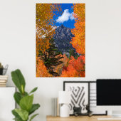 Berg geframed in herfstloof, CA Poster (Thuiskantoor)