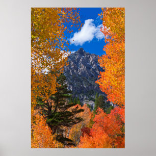 Berg geframed in herfstloof, CA Poster