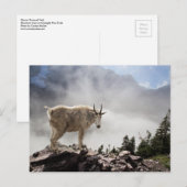 Berg geit in het Nationaal Park Glacier Briefkaart (Voorkant / Achterkant)