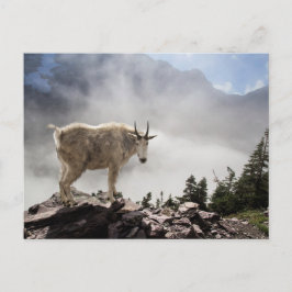 Berg geit in het Nationaal Park Glacier Briefkaart