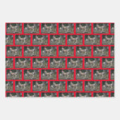 Berg Geitten dragen Petten van de kerstman voor Ch Inpakpapier Vel (Voorkant 3)