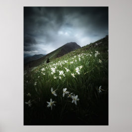 Berg Golica en narcissenbloemen Poster