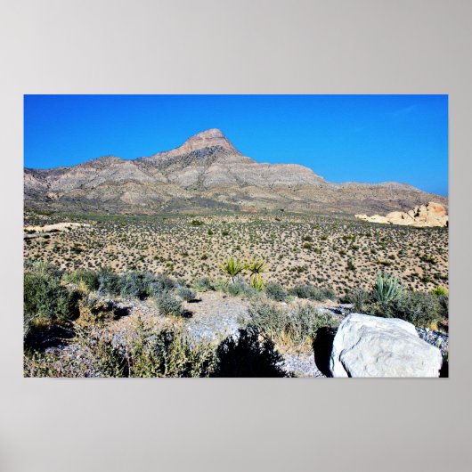Berg in Nevada woestijn Poster (Voorkant)