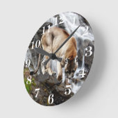 Berg leeuw aan de waterval ronde klok (Hoek)