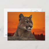 Berg leeuw op zonsondergang briefkaart (Voorkant / Achterkant)