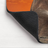 Berg leeuw op zonsondergang muismat (Hoek)