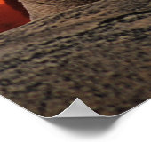 Berg leeuw op zonsondergang poster (Hoek)