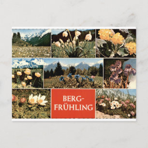 Berg Lente Vintage Alpine Bloemen Multiview Briefkaart