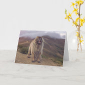 berg Leonberger Kaart (Gele Bloem)