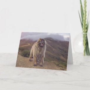 berg Leonberger Kaart