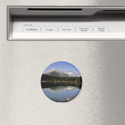 Berg Magneet (Insitu (Vaatwasser))