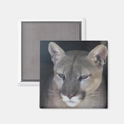 berg magneet (Voorkant / Achterkant)