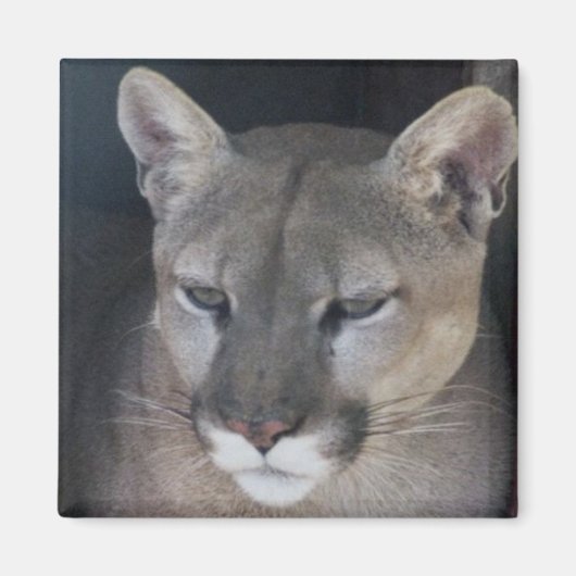 berg magneet (Voorkant)