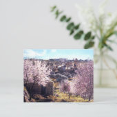  berg olijven Jeruzalem Israël 1950 - 77 Briefkaart (Staand voorkant)