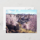  berg olijven Jeruzalem Israël 1950 - 77 Briefkaart (Voorkant / Achterkant)