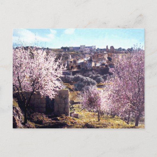  berg olijven Jeruzalem Israël 1950 - 77 Briefkaart (Voorkant)