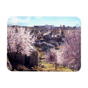 berg olijven Jeruzalem Israël 1950 - 77 Magneet