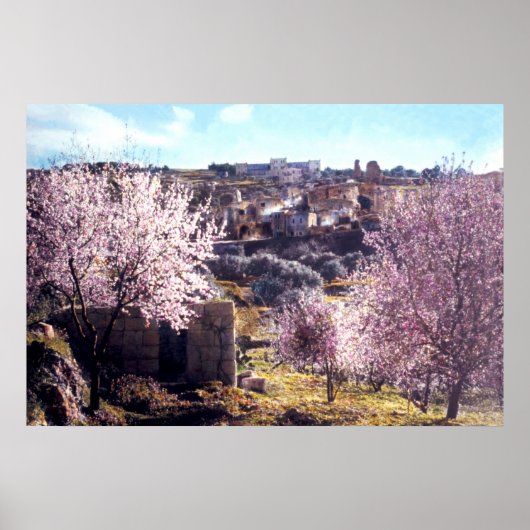  berg olijven Jeruzalem Israël 1950 - 77 Poster (Voorkant)