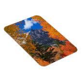 Berg omlijst door herfstloof, CA Magneet (Rechterzijde)