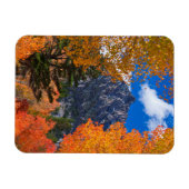 Berg omlijst door herfstloof, CA Magneet (Horizontaal)