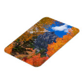 Berg omlijst door herfstloof, CA Magneet (Linkerzijde)