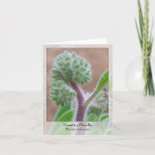 Berg Phacelia - Inheemse Notecard Kaart (Voorkant)