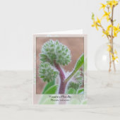 Berg Phacelia - Inheemse Notecard Kaart (Gele Bloem)