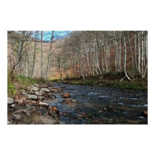 Berg Rivier in de Herfst – Wilde Natuur Roemenië Perfect Poster