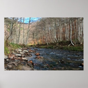 Berg Rivier in de Herfst – Wilde Natuur Roemenië Poster