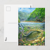 Berg Rivier Vis Briefkaart (Voorkant / Achterkant)