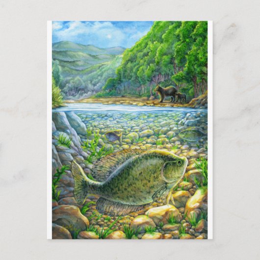 Berg Rivier Vis Briefkaart (Voorkant)