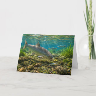 Berg Whitefish Wenskaart Kaart