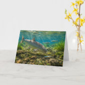 Berg Whitefish Wenskaart Kaart (Gele Bloem)