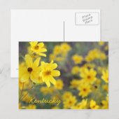 Berg Wildbloemen door JerseyFawn Briefkaart (Voorkant / Achterkant)